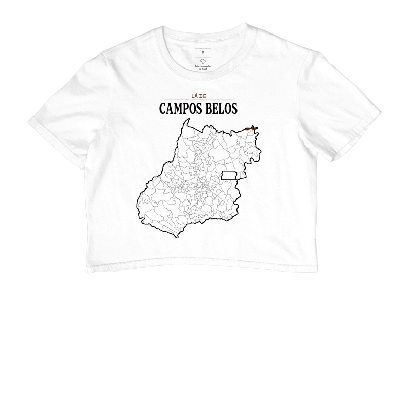 Campos Belos | Território GO - Imagem 3