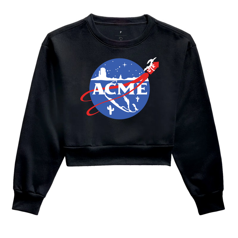 ACME ao espaço - Imagem 2