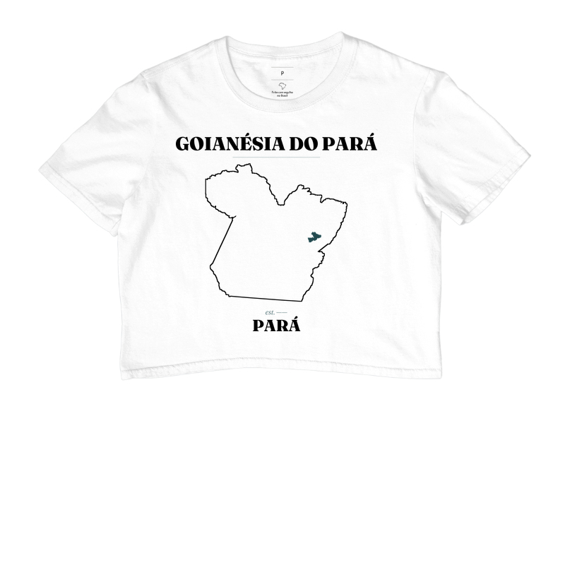 Goianésia do Pará | Legado PA - Imagem 3