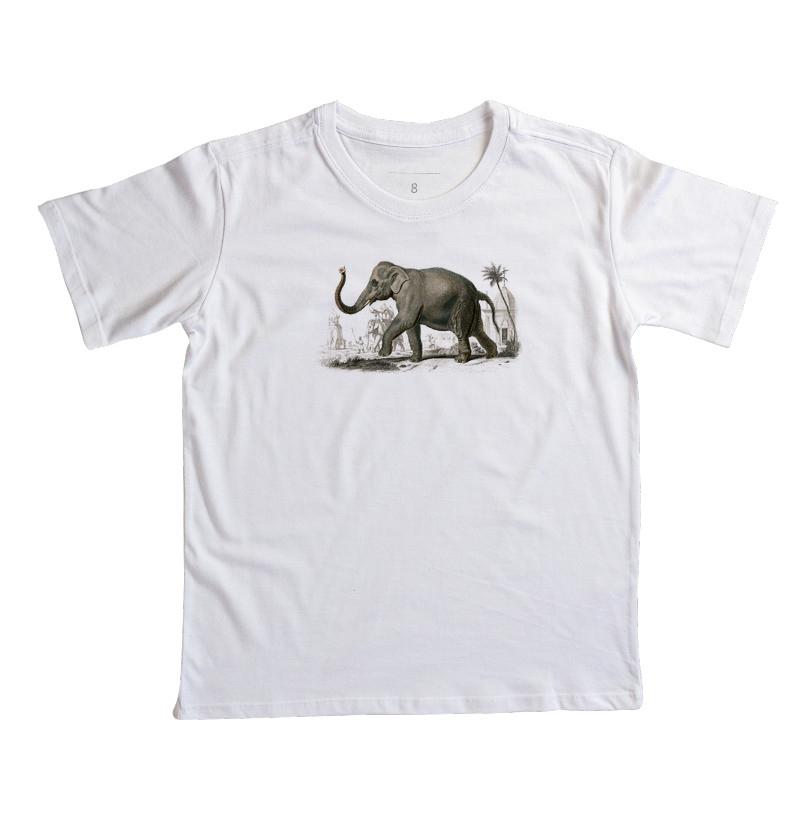 Elefante-asiático - Imagem 2