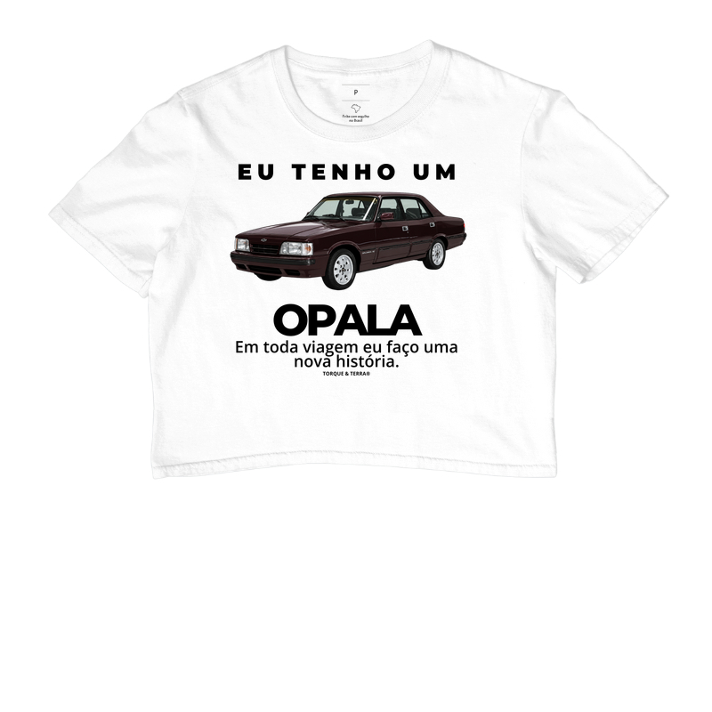 Eu tenho um Opala Diplomata vinho - Imagem 3