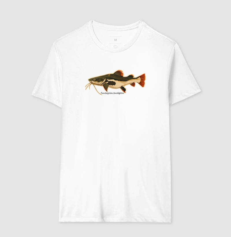 Pirarara 🐟 - Imagem 4