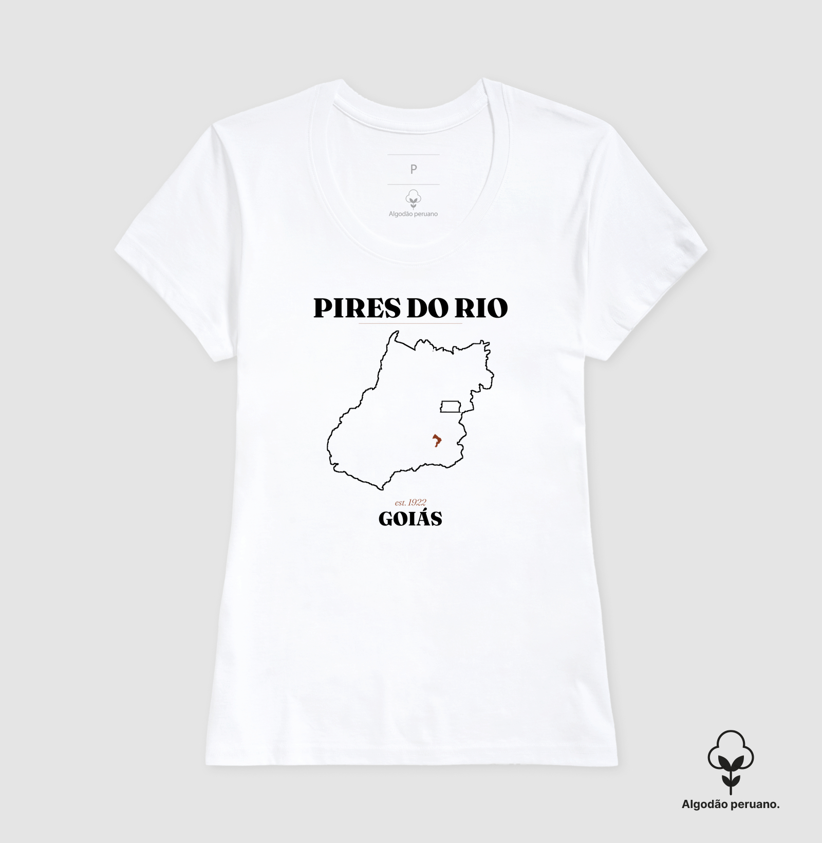 Pires do Rio | Legado GO - Imagem 7