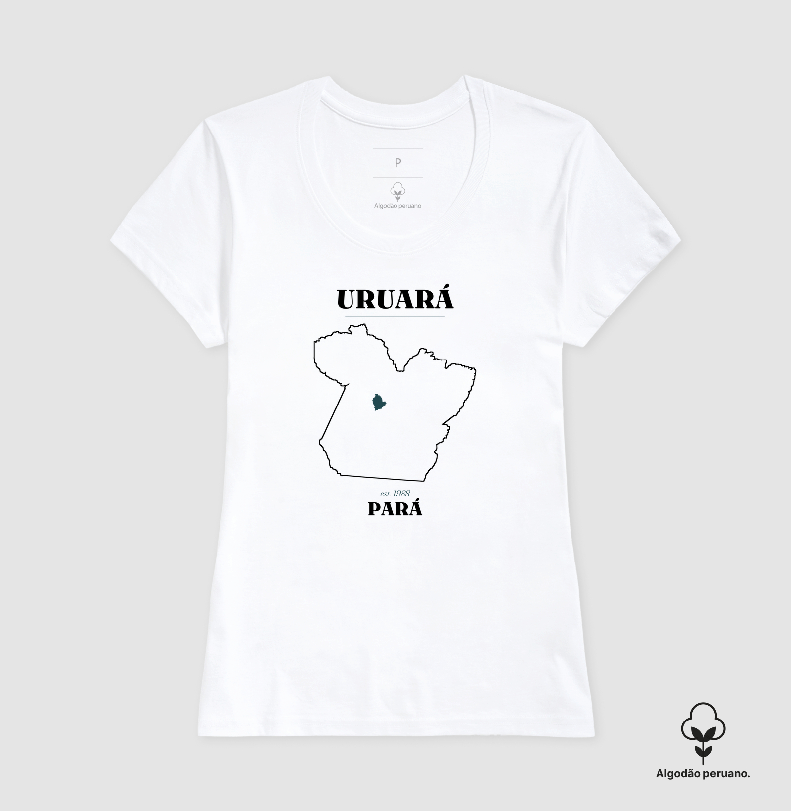 Uruará | Legado PA - Imagem 8