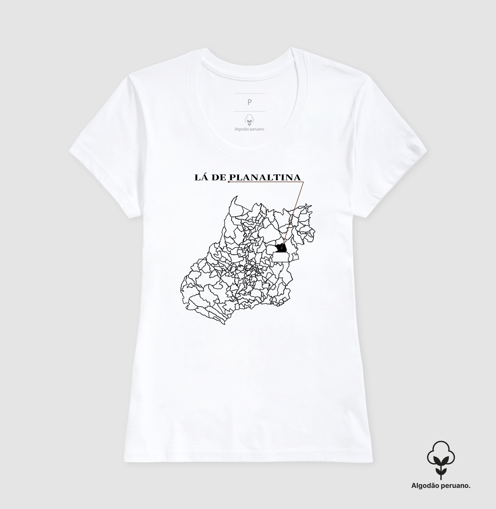 Planaltina | Origem GO - Imagem 6
