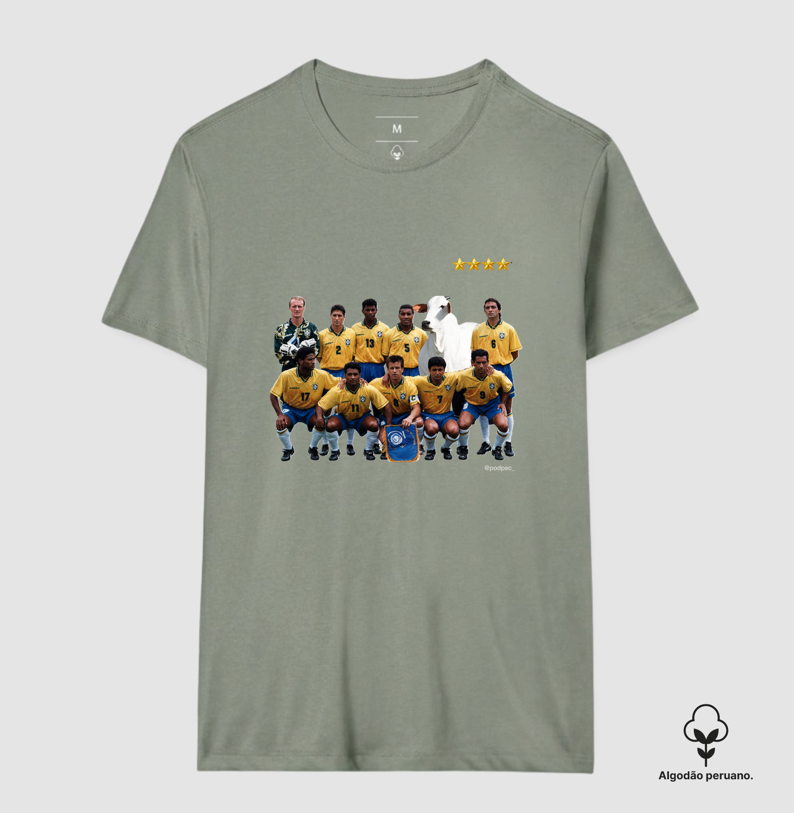 Camisa 6