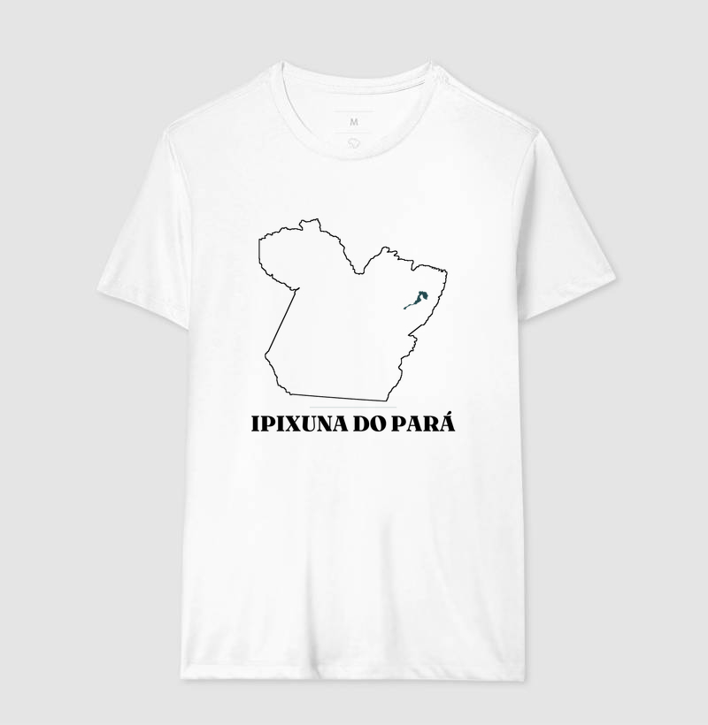 Ipixuna do Pará | Traço PA - Imagem 4