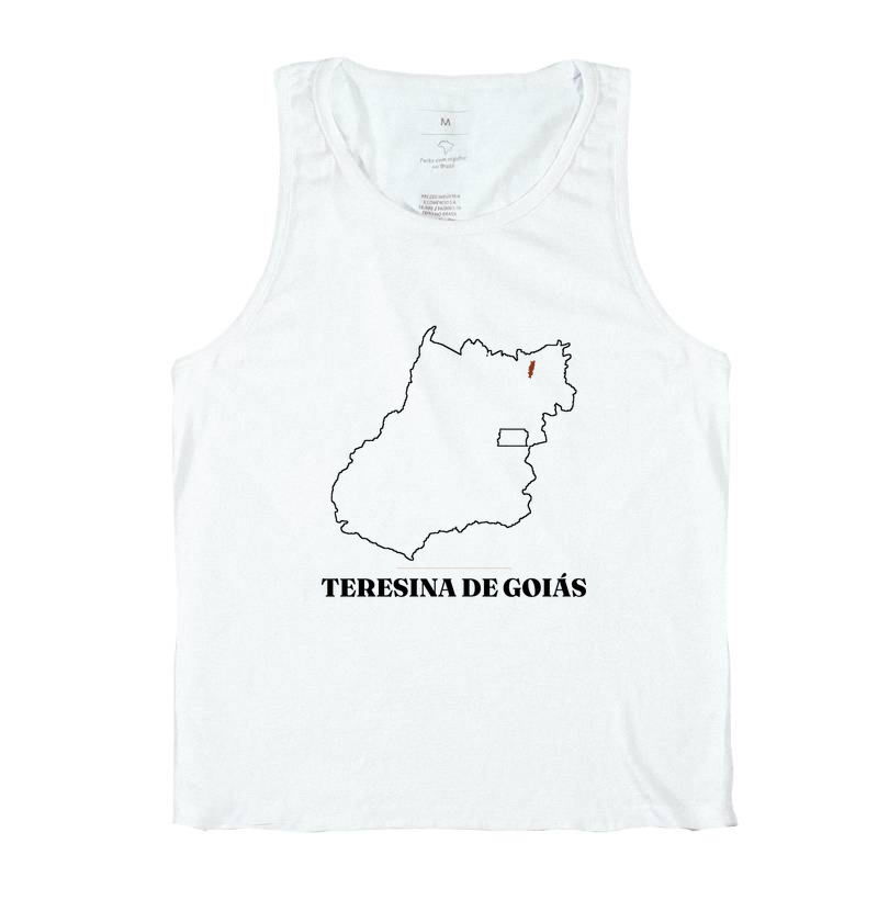 Teresina de Goiás | Traço GO - Imagem 2