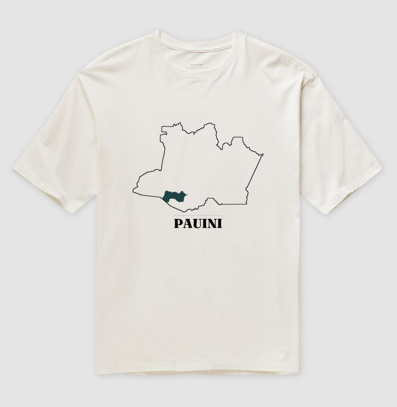 Pauini | Traço AM - Imagem 4