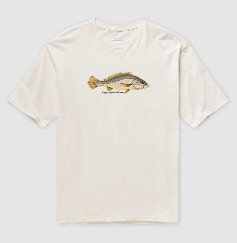 🎣 Corvina 🐟 - Imagem 4