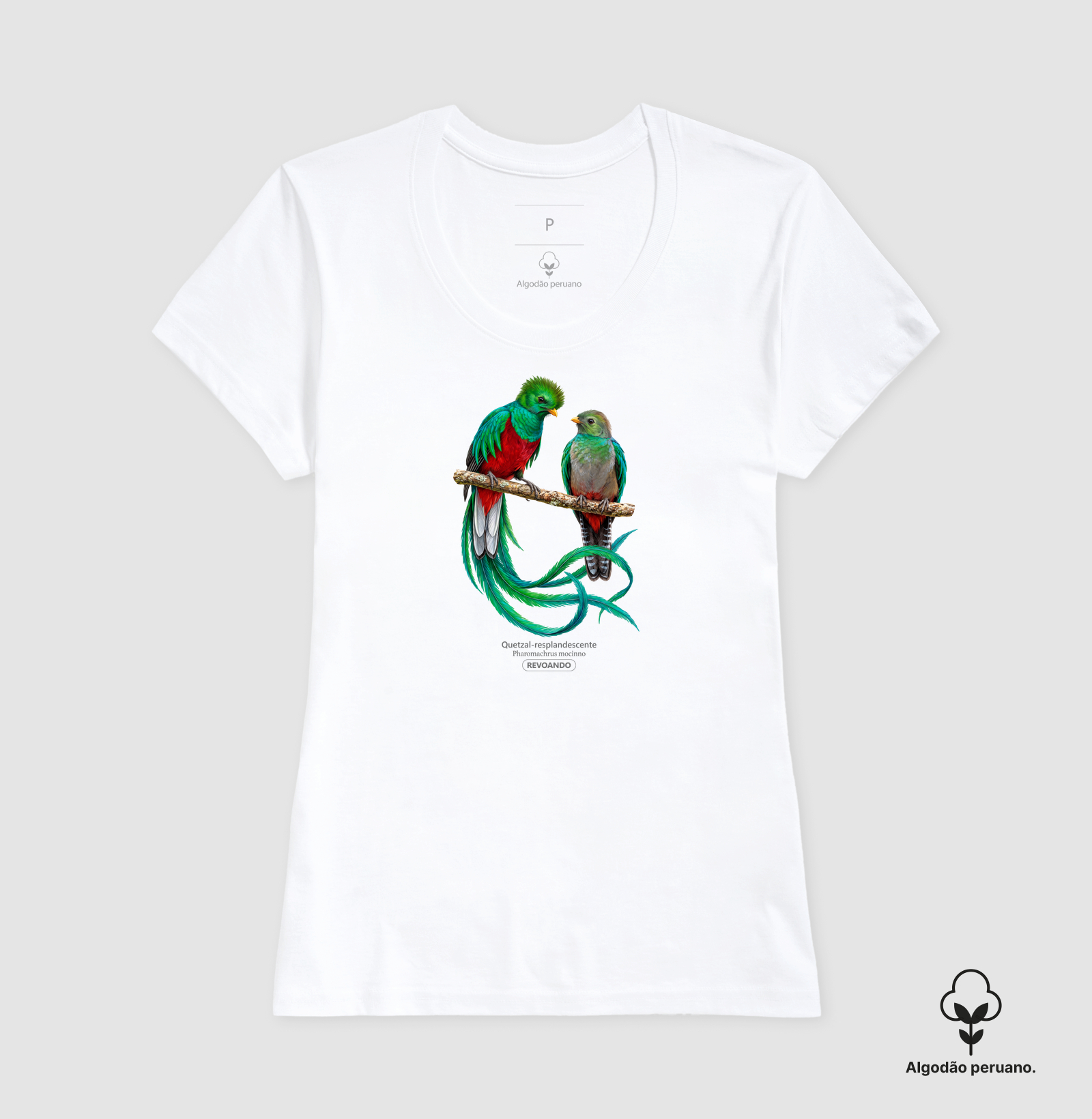 Traços Alados - Quetzal-resplandescente - Algodão Peruano - Imagem 7