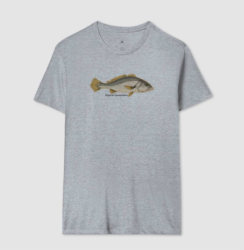 🎣 Corvina 🐟 - Imagem 8