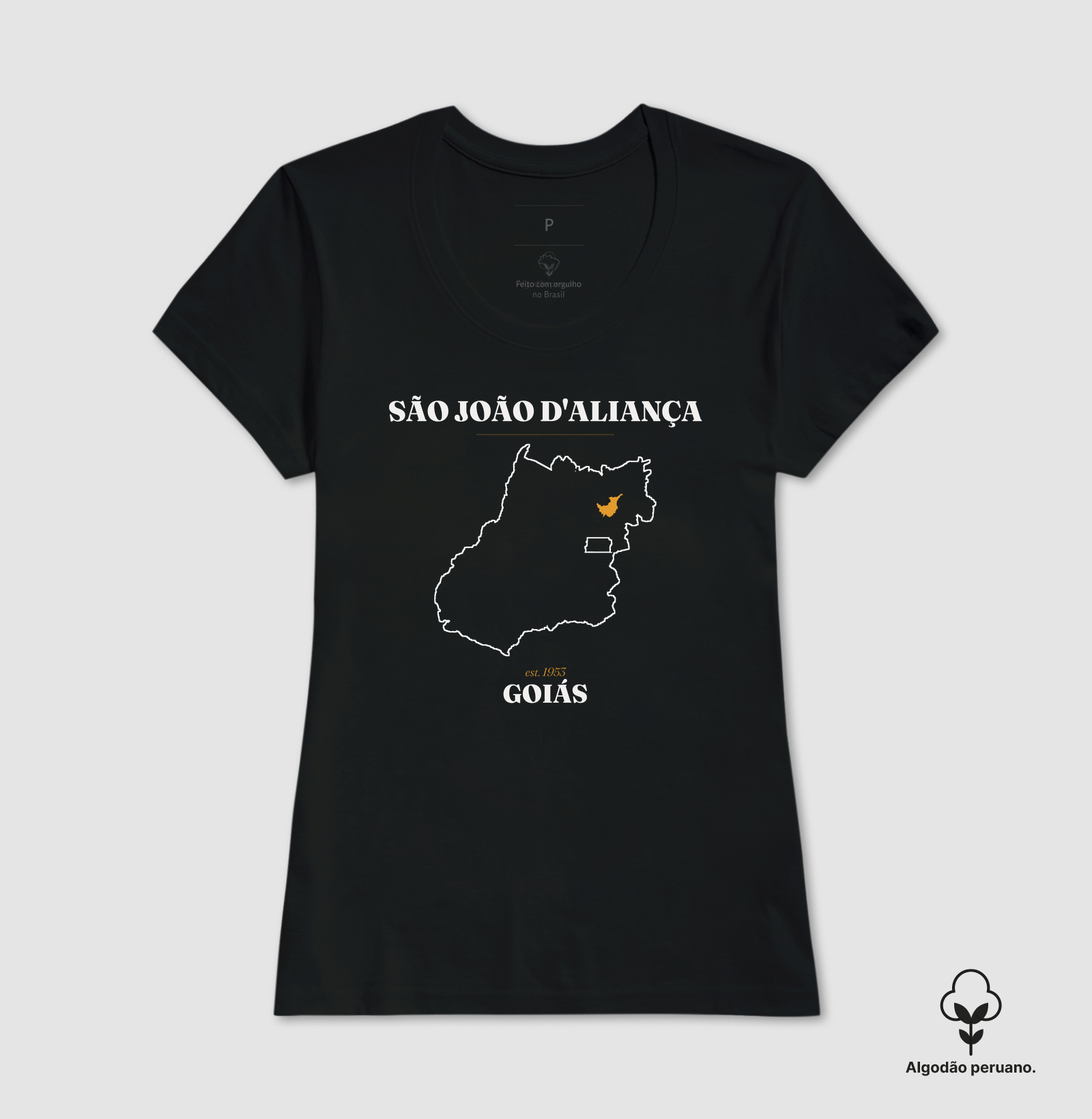São João d'Aliança | Legado GO - Imagem 6