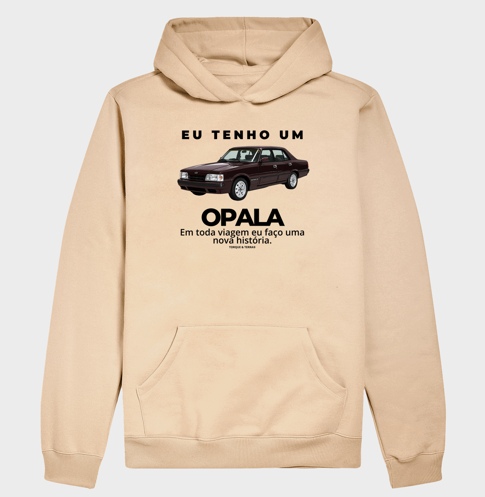 Eu tenho um Opala Diplomata vinho - Imagem 5