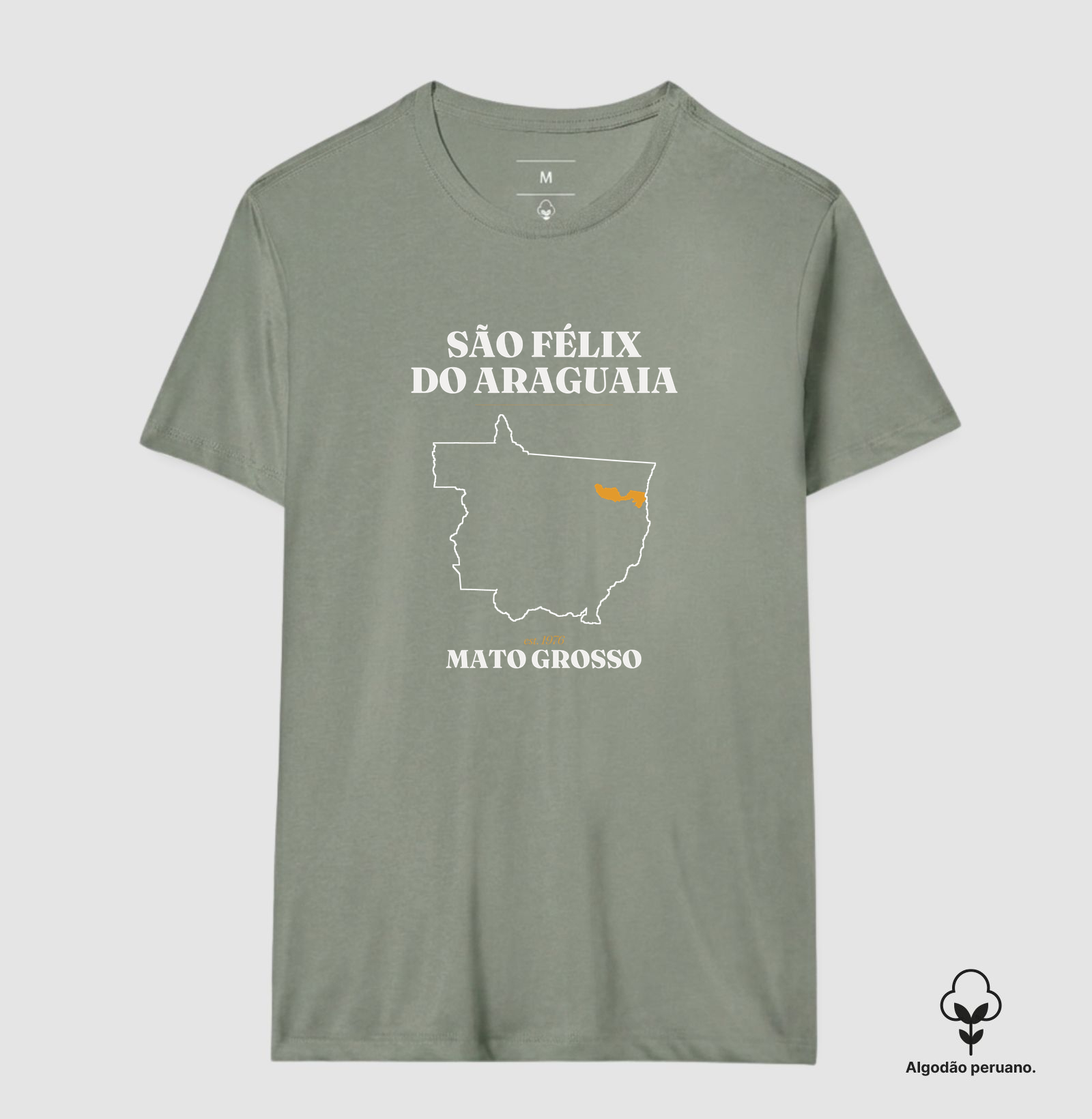São Félix do Araguaia | Legado MT - Imagem 9