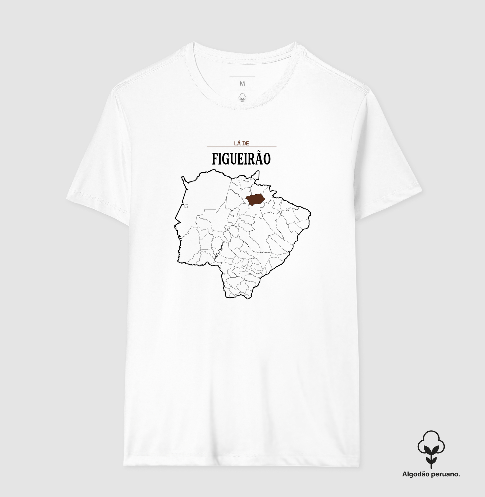 Figueirão | Território MS - Imagem 6