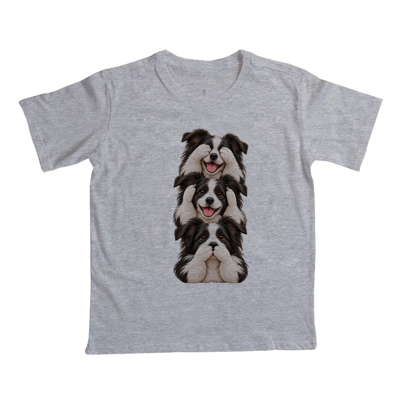 Ver, ouvir e falar Border Collie - Imagem 5