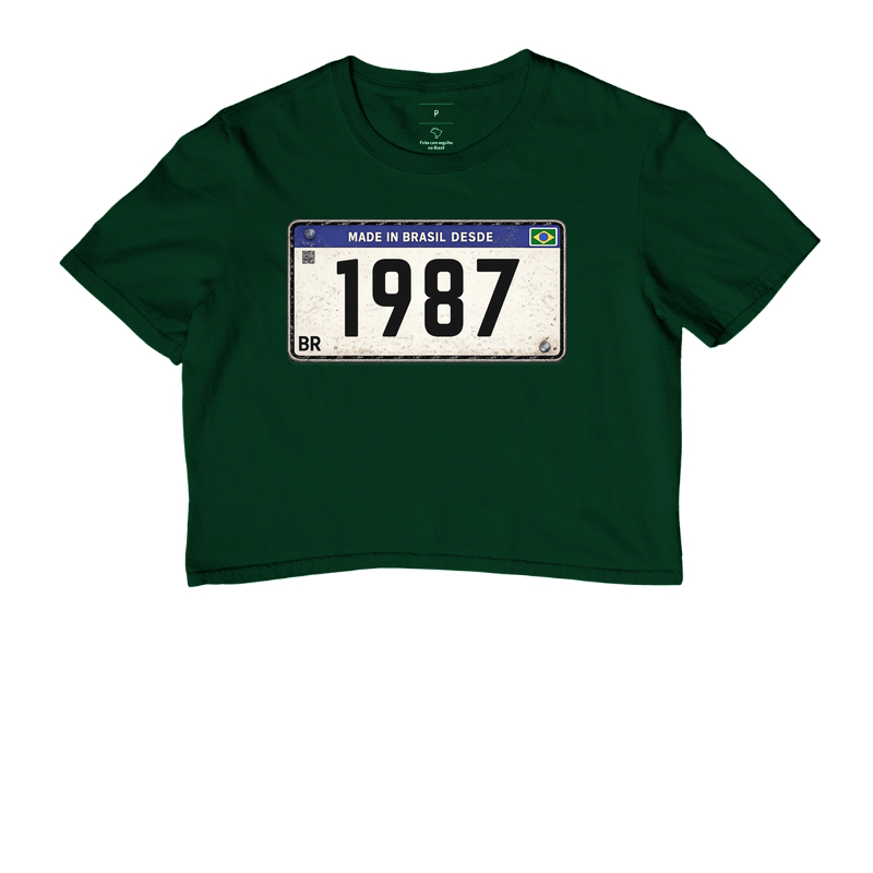 Placa 1987 - Imagem 5