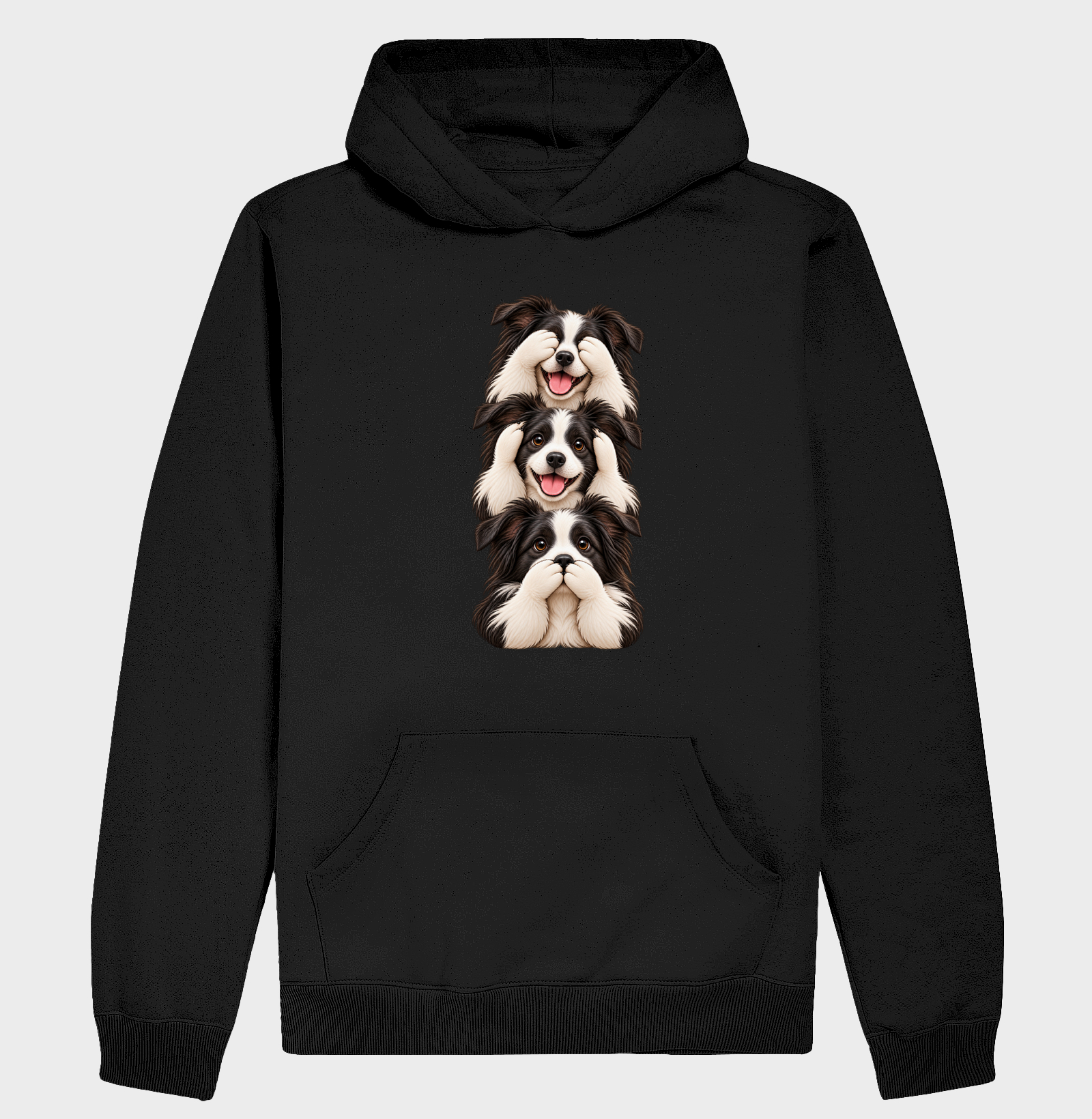 Ver, ouvir e falar Border Collie - Imagem 2
