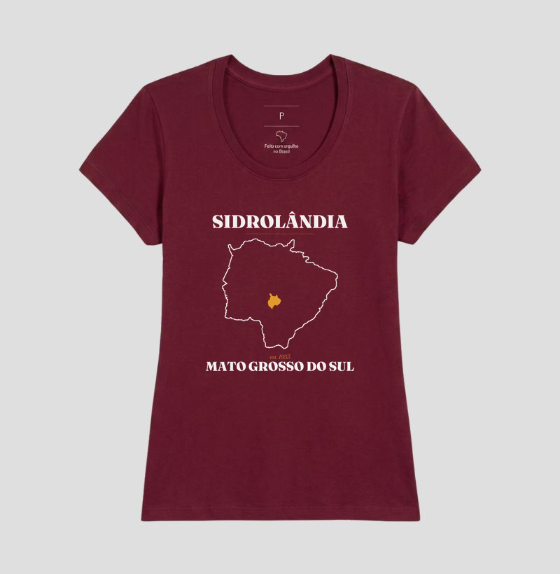 Sidrolândia | Legado MS - Imagem 19