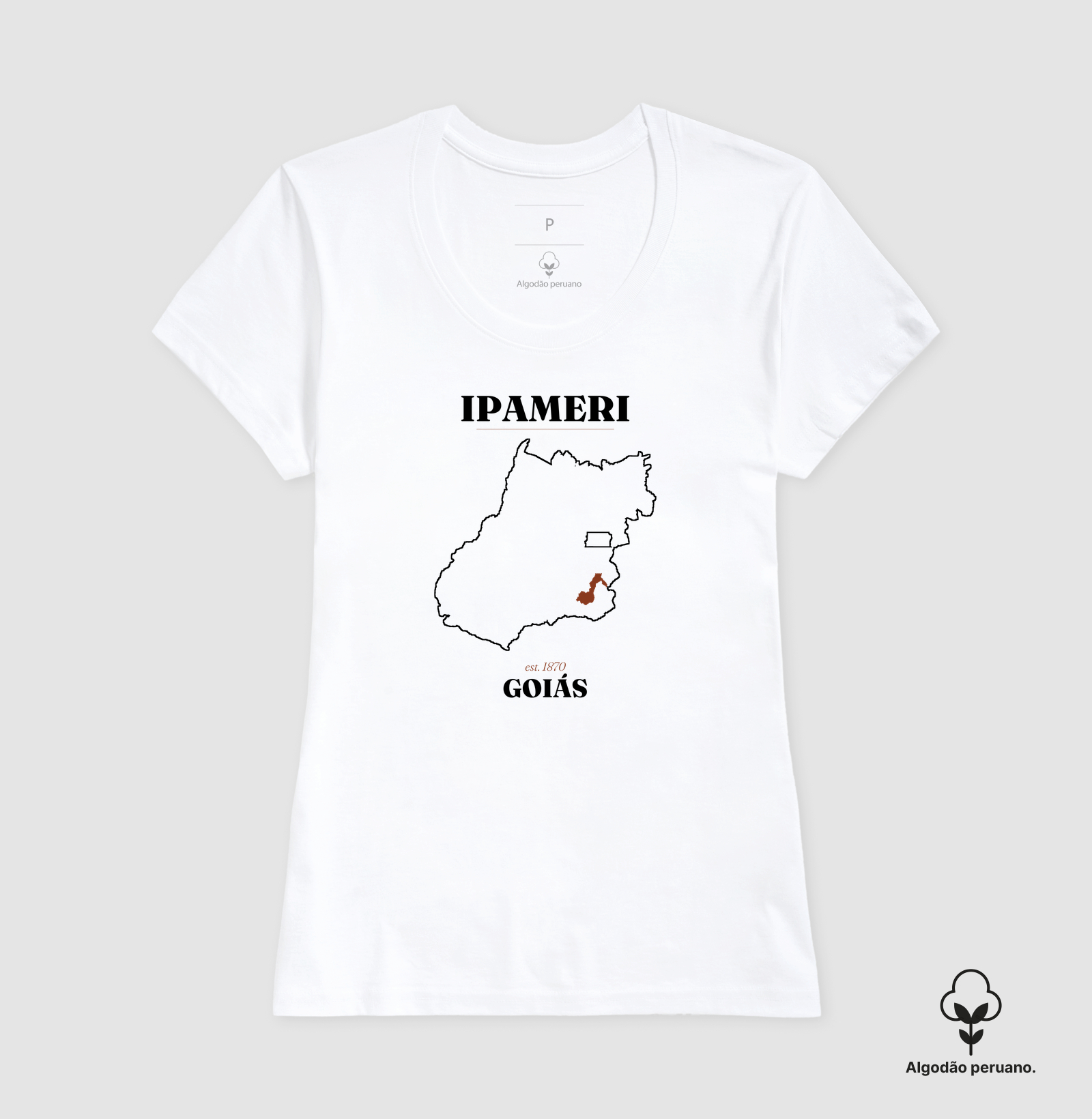Ipameri | Legado GO - Imagem 6