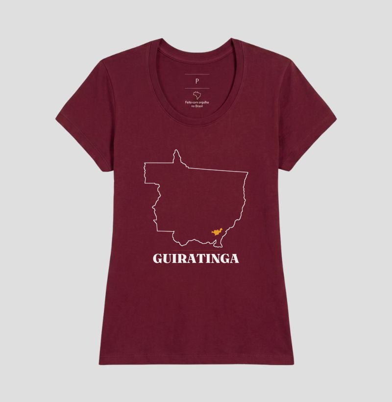 Guiratinga | Traço MT - Imagem 19