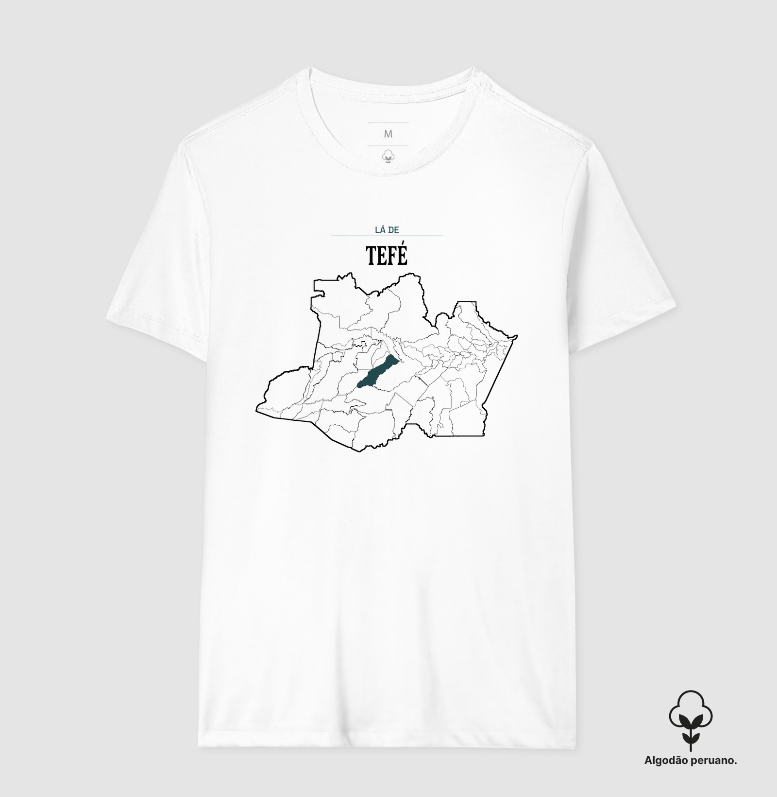 Tefé | Território AM - Imagem 4
