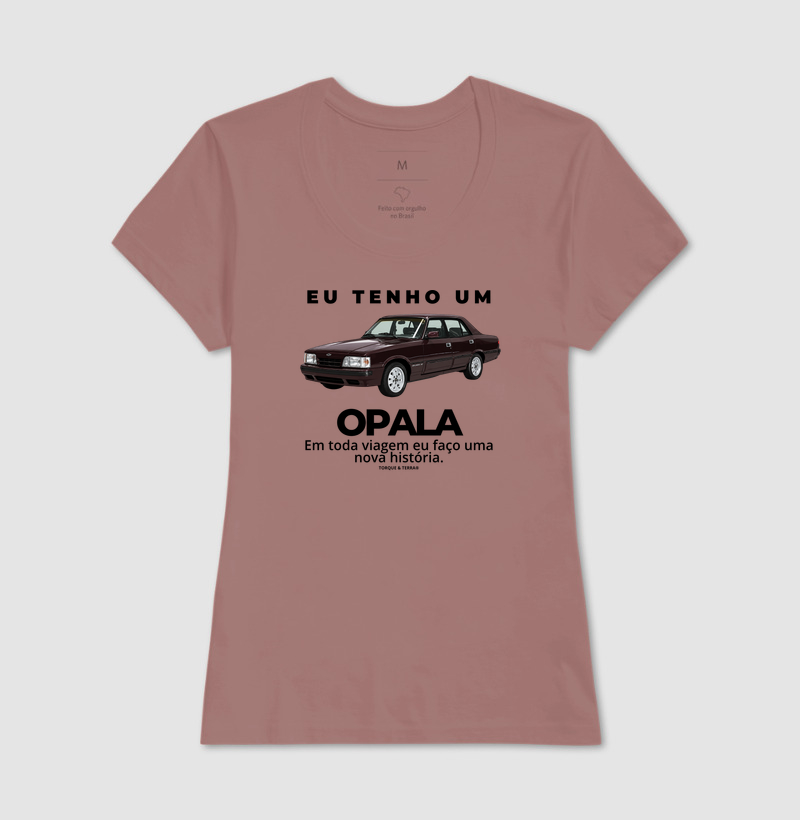 Eu tenho um Opala Diplomata vinho - Imagem 17