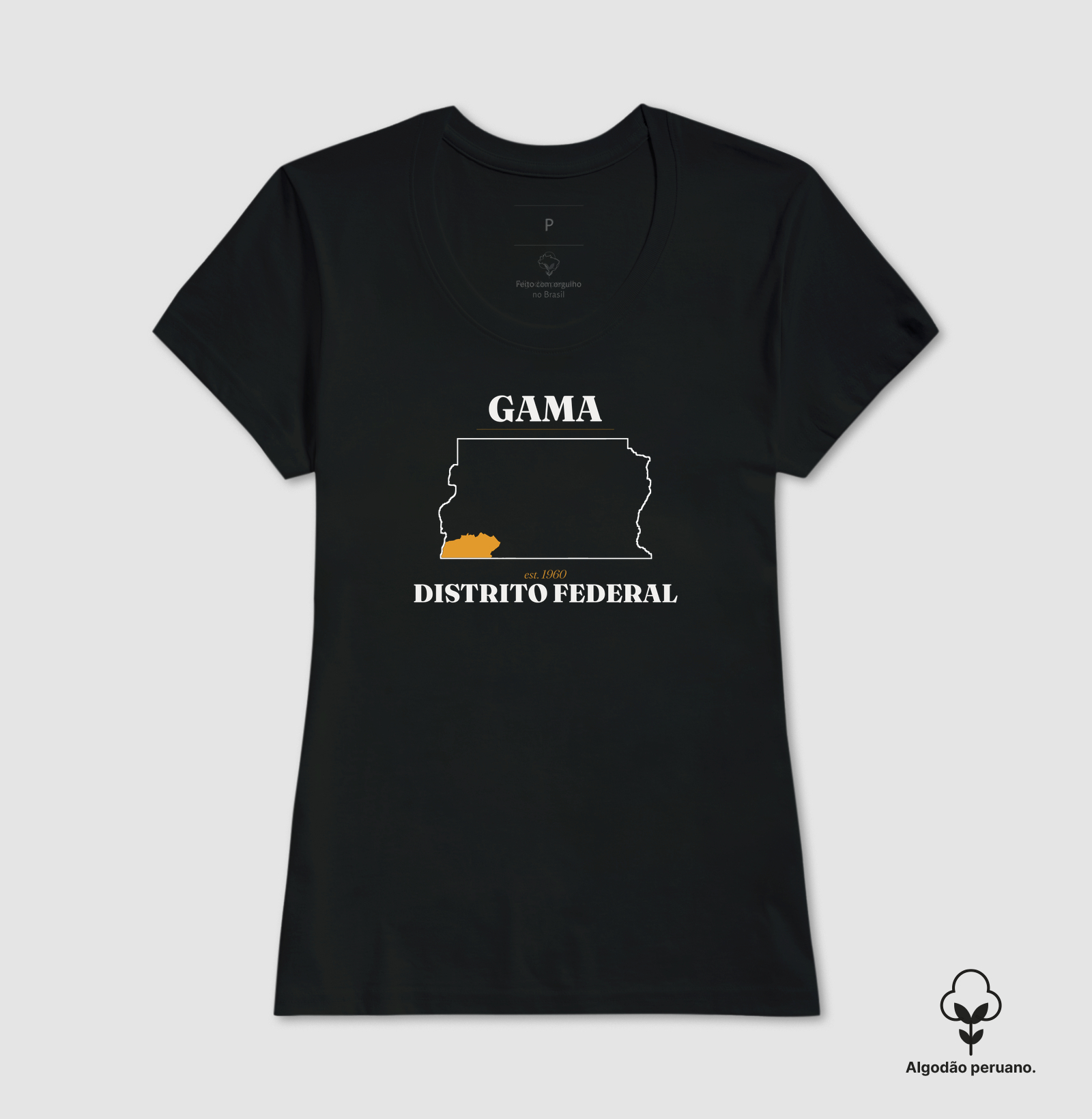 Gama | Legado DF - Imagem 2