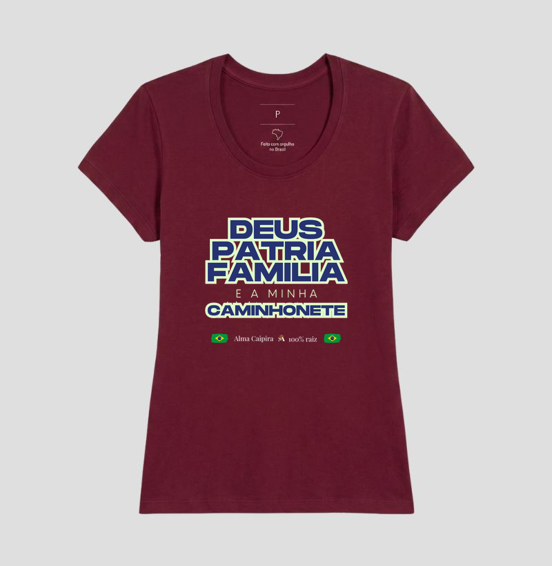 Deus, pátria, família e a minha caminhonete - Imagem 19