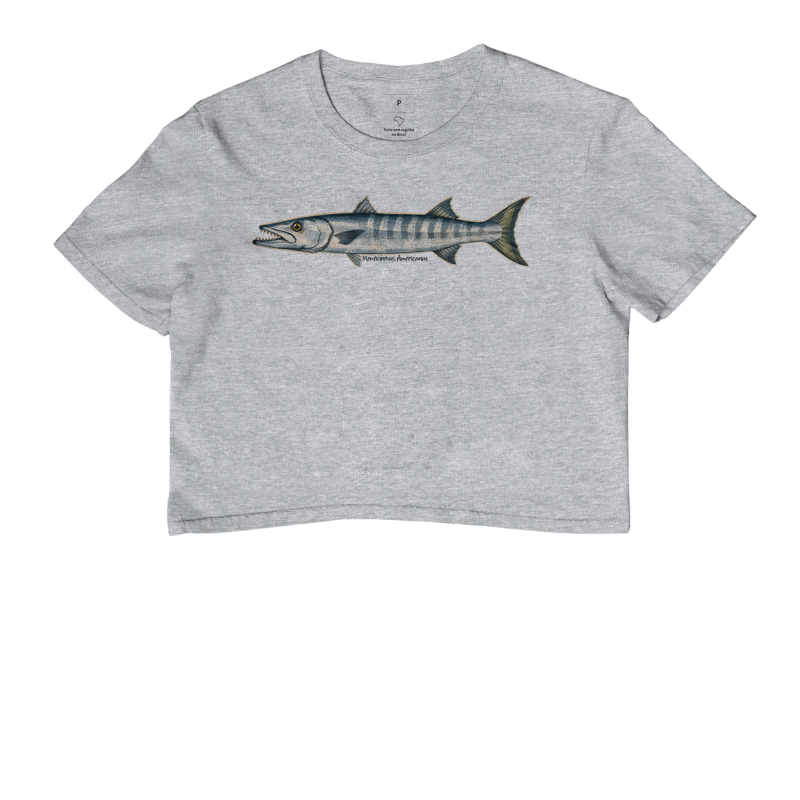 Barracuda - Imagem 6