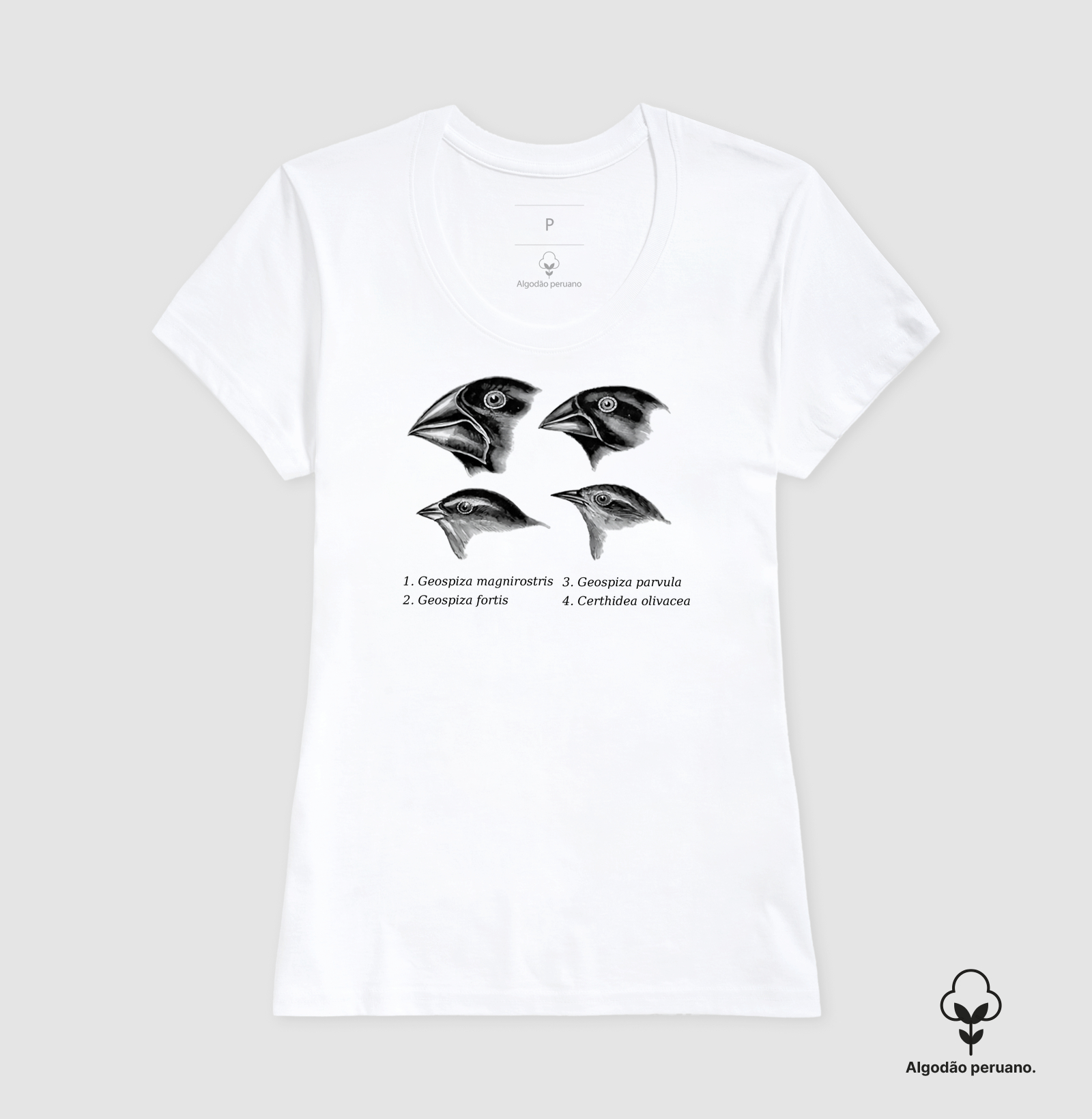 Camisa 2