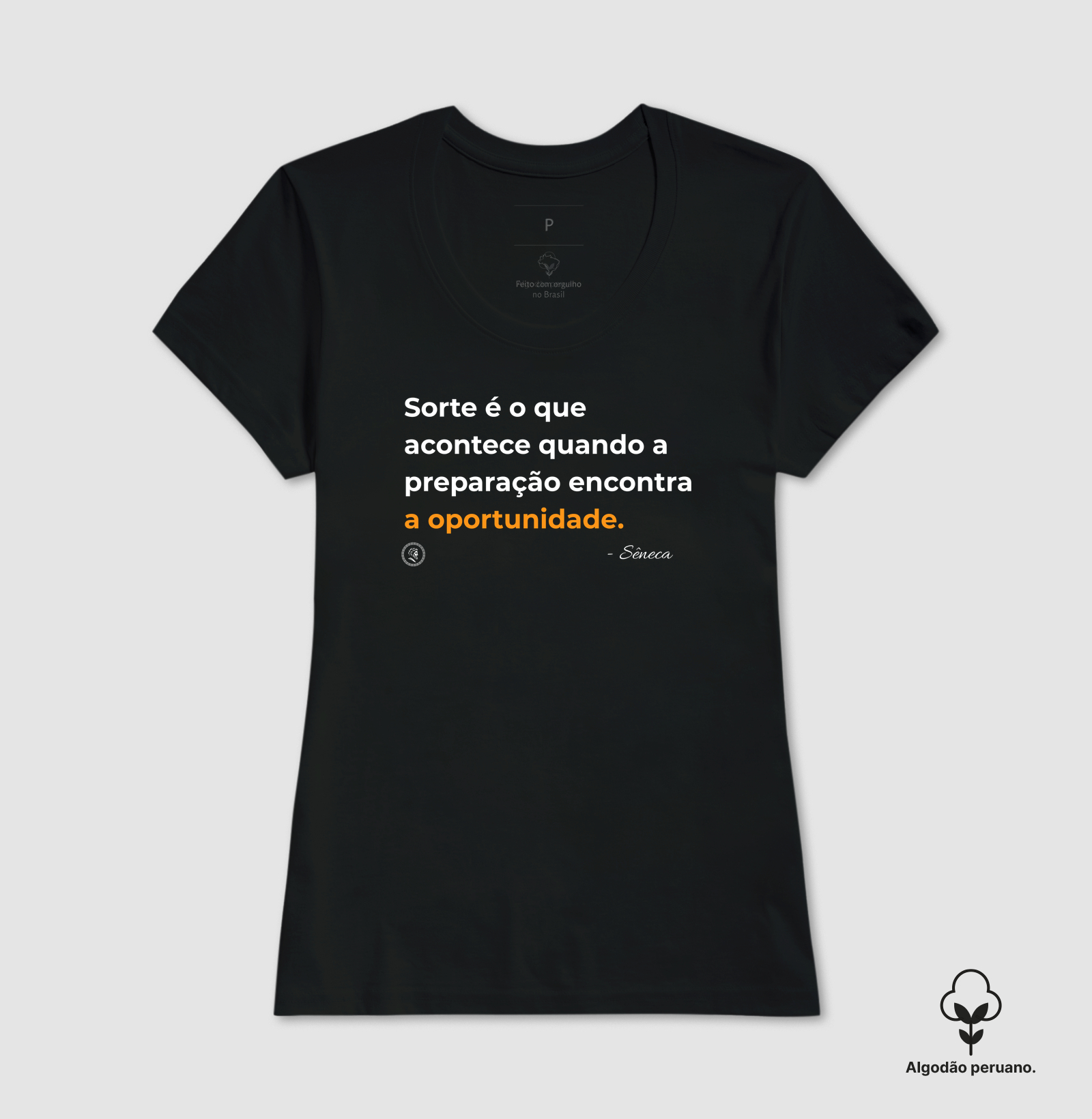 Estoicismo de Sêneca "Oportunidade" - Imagem 5