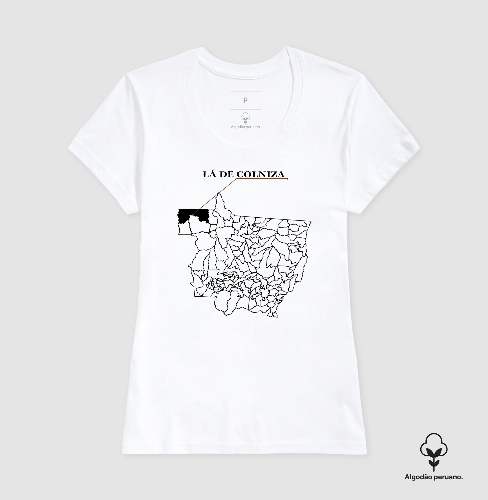 Colniza | Origem MT - Imagem 7