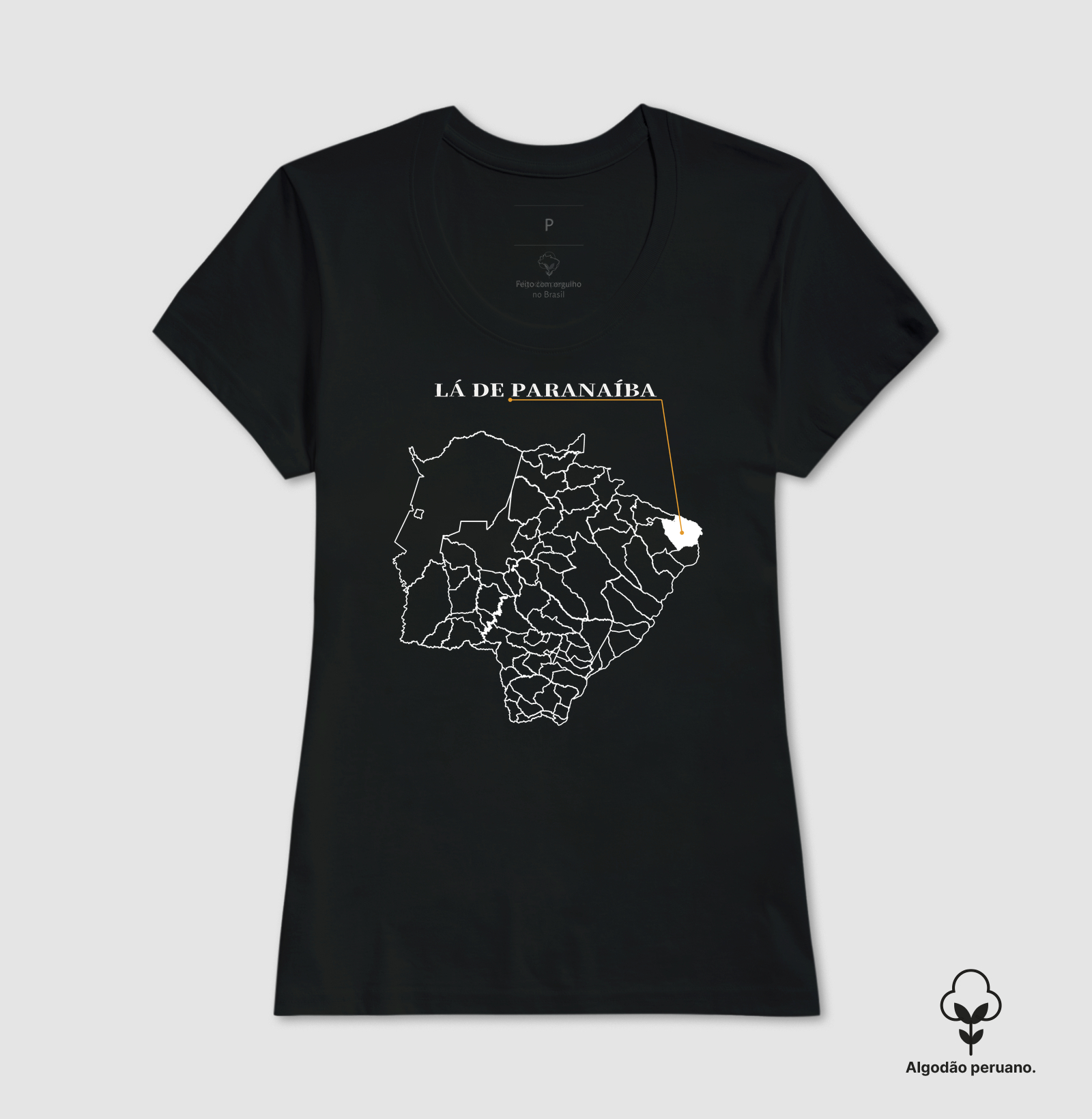 Paranaíba | Origem MS - Imagem 6
