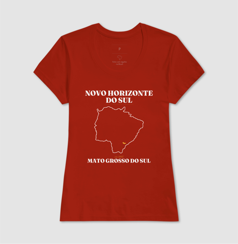 Novo Horizonte do Sul | Legado MS - Imagem 11