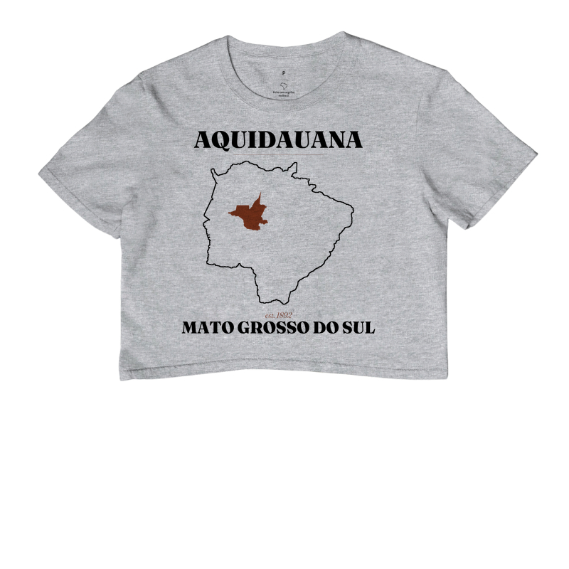 Aquidauana | Legado MS - Imagem 6