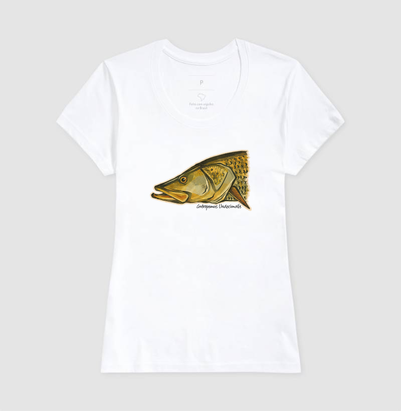Robalo-Flecha - Imagem 5