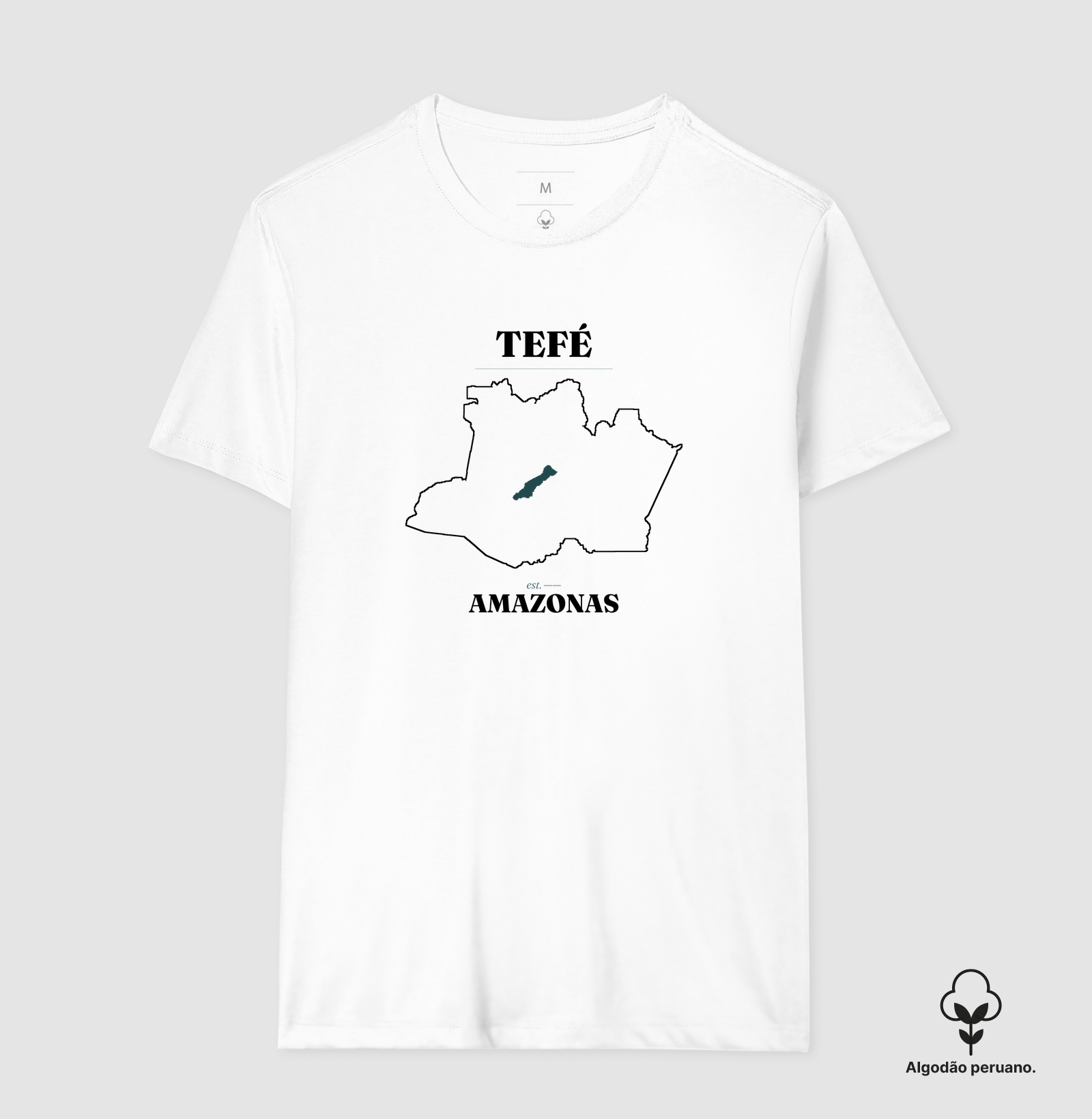 Tefé | Legado AM - Imagem 8