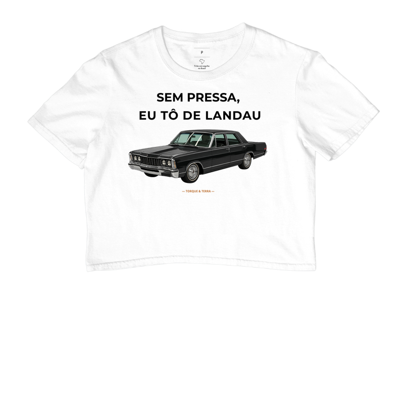 Sem pressa, eu tô de Landau - Imagem 3