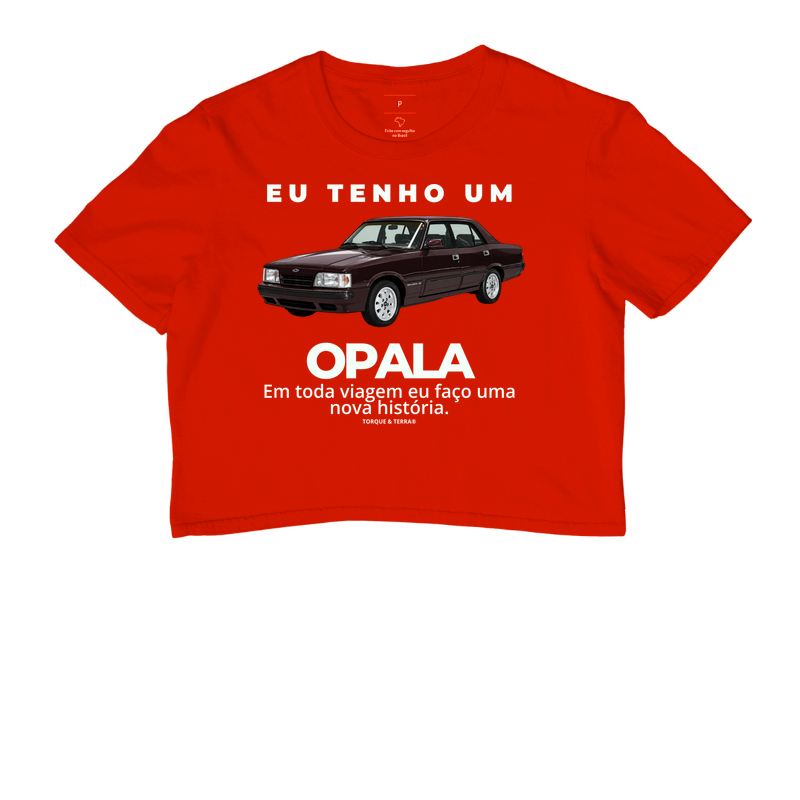 Eu tenho um Opala Diplomata vinho - Imagem 7