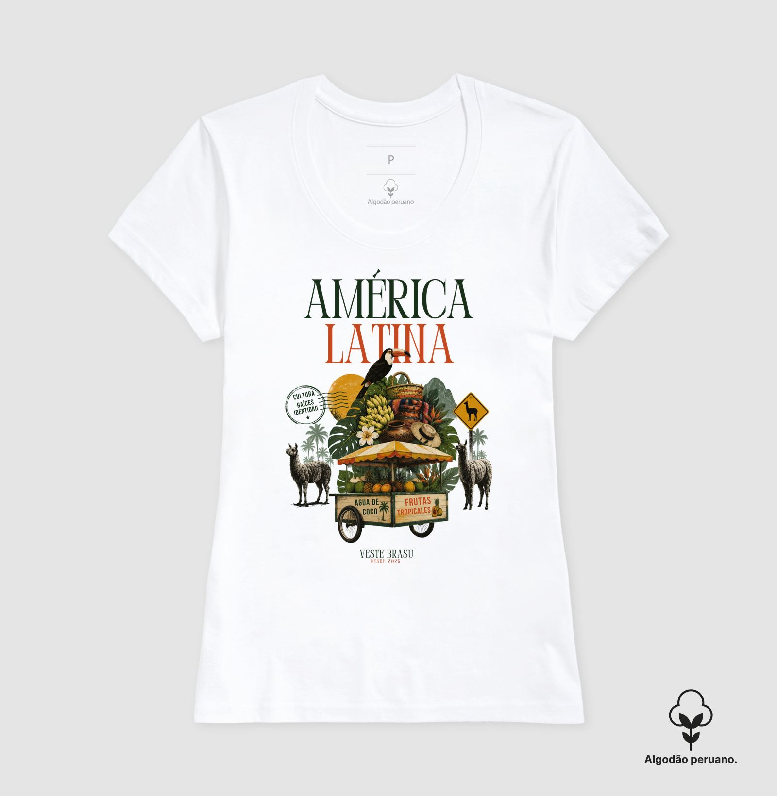 Camisa 6