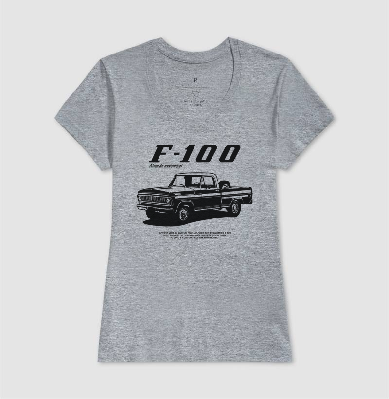 F-100 | Alma de Automóvel - Imagem 12