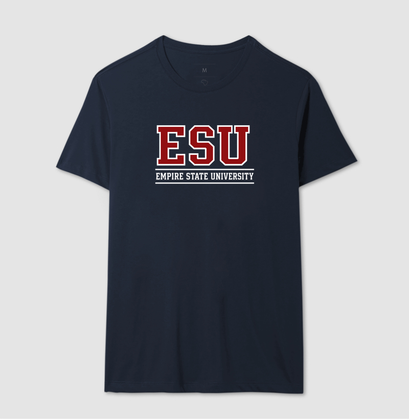 Empire State University - Imagem 7
