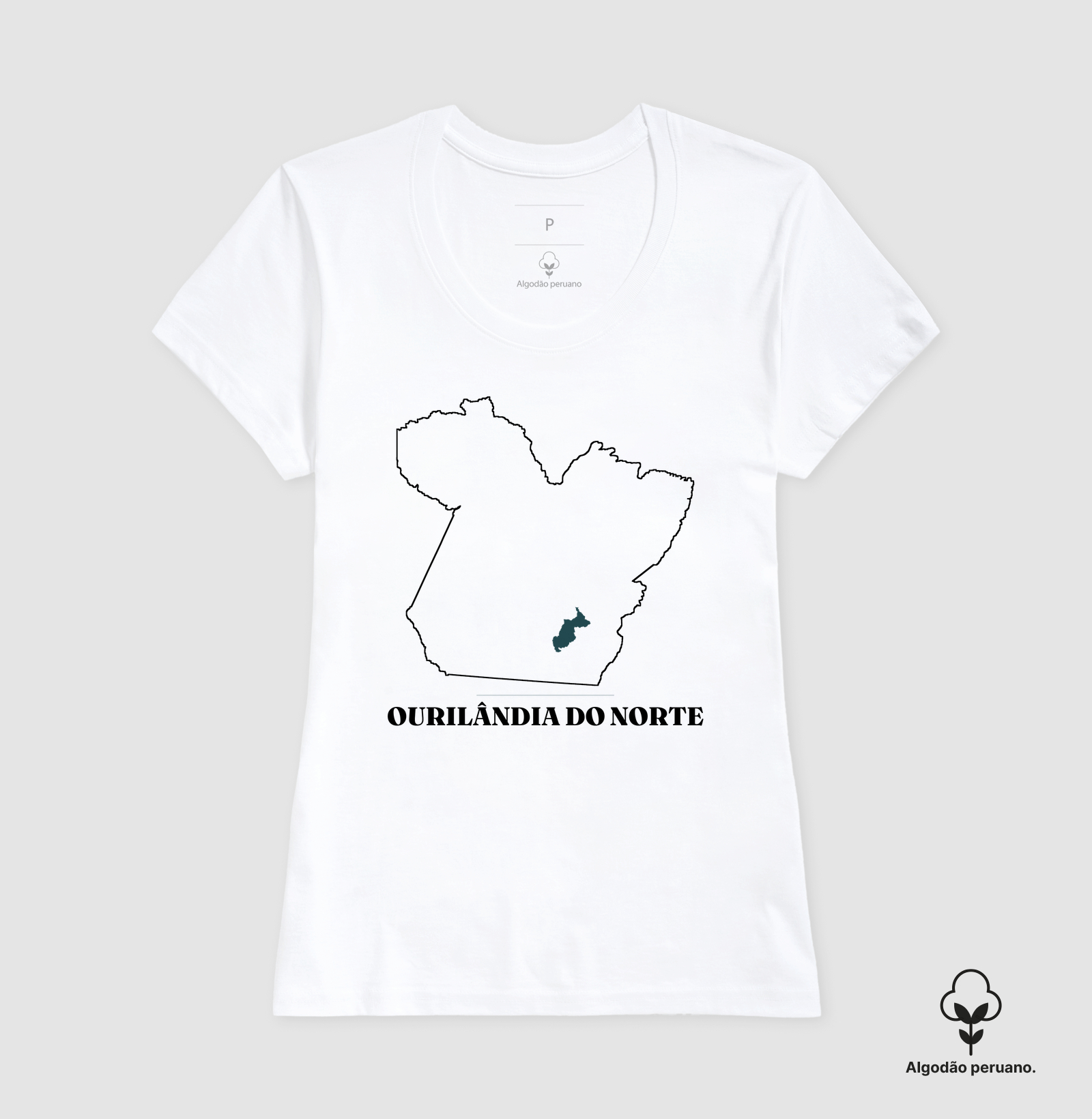 Ourilândia do Norte | Traço PA - Imagem 3