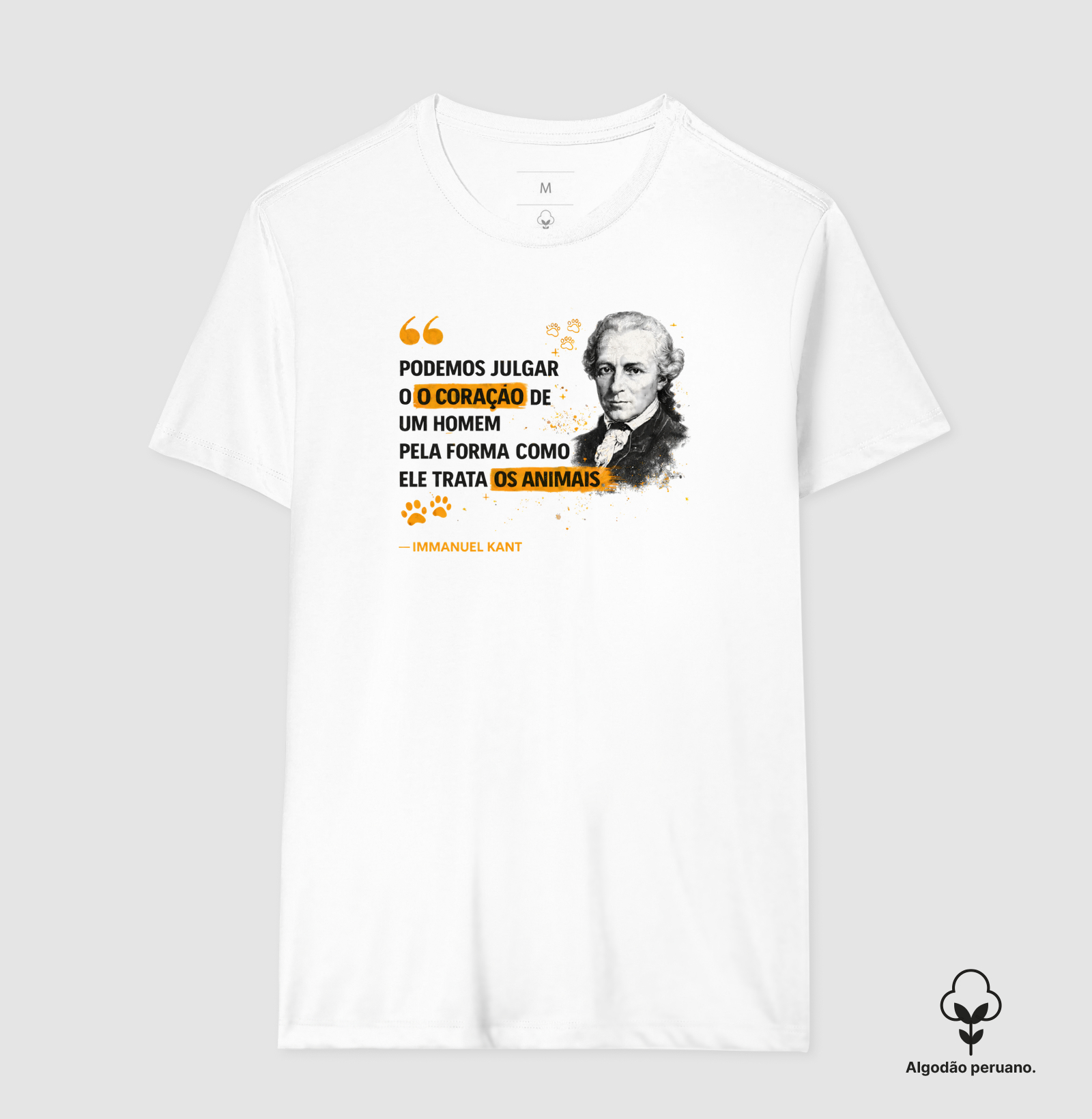 Filosofia de Immanuel Kant - Imagem 5