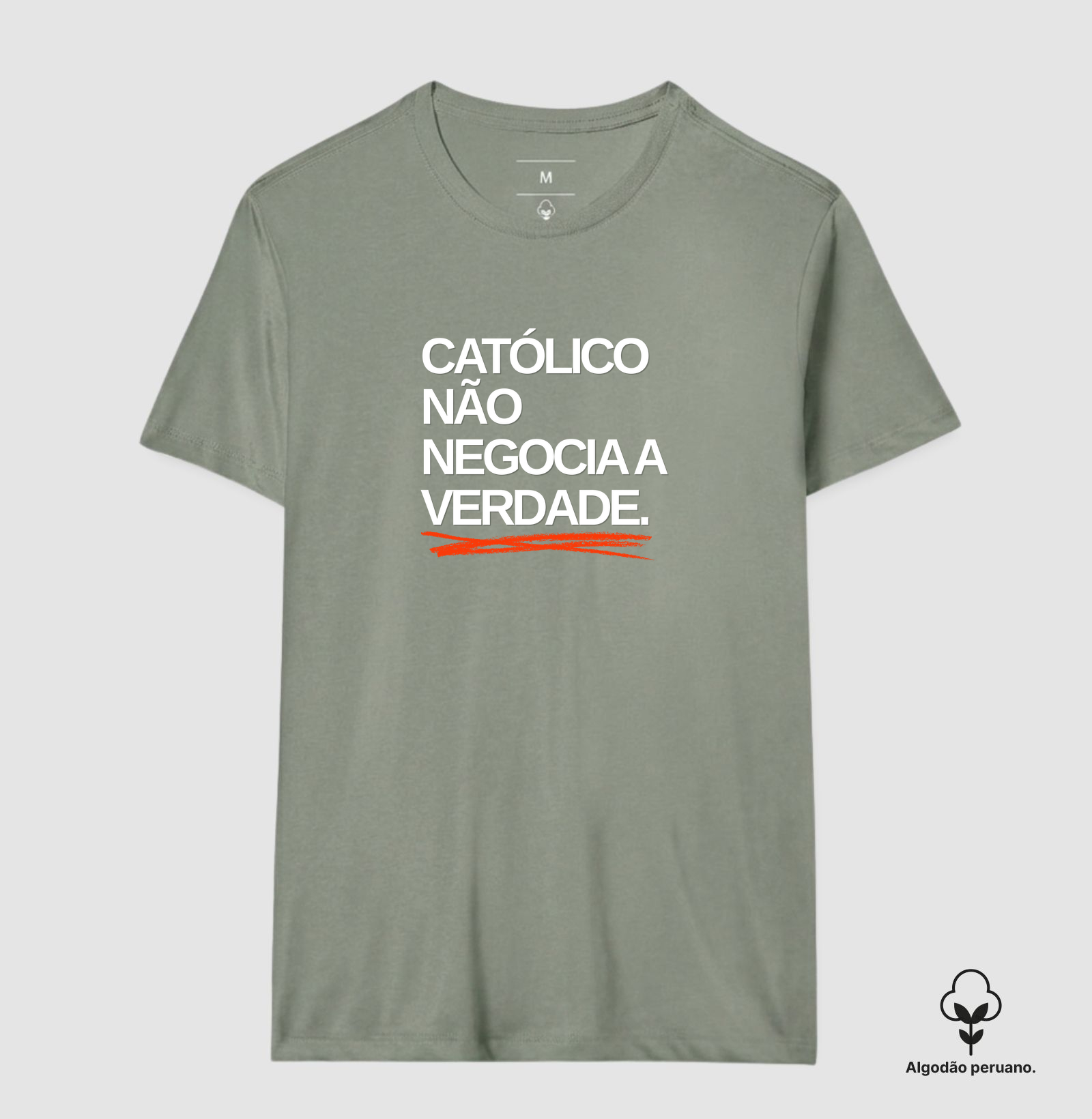 catolico não negocia a verdade - Imagem 5
