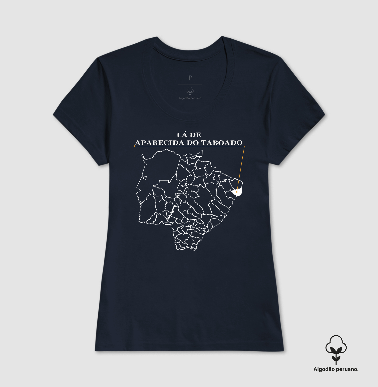 Aparecida do Taboado | Origem MS - Imagem 4