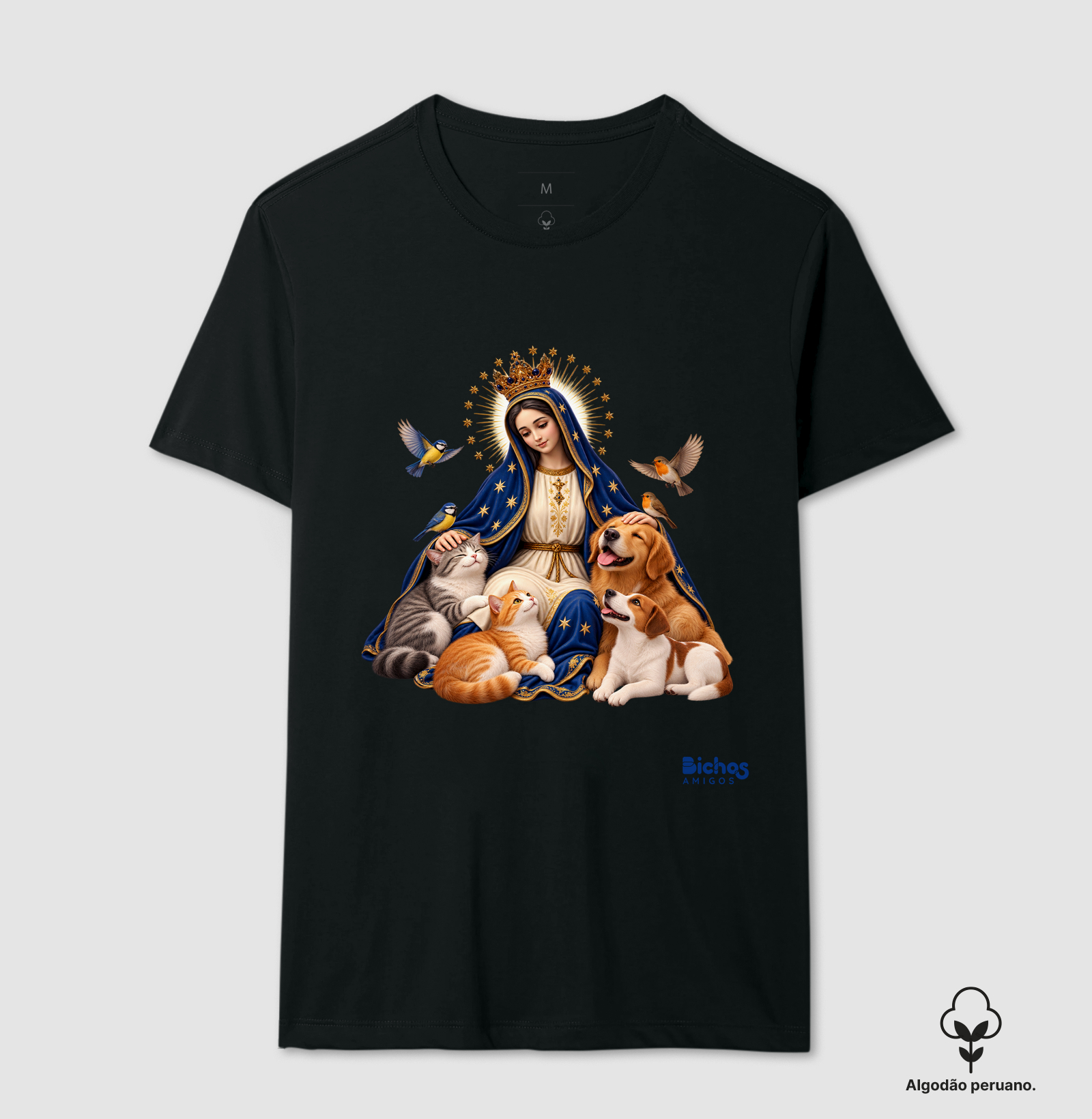 Nossa Senhora Aparecida - Imagem 6