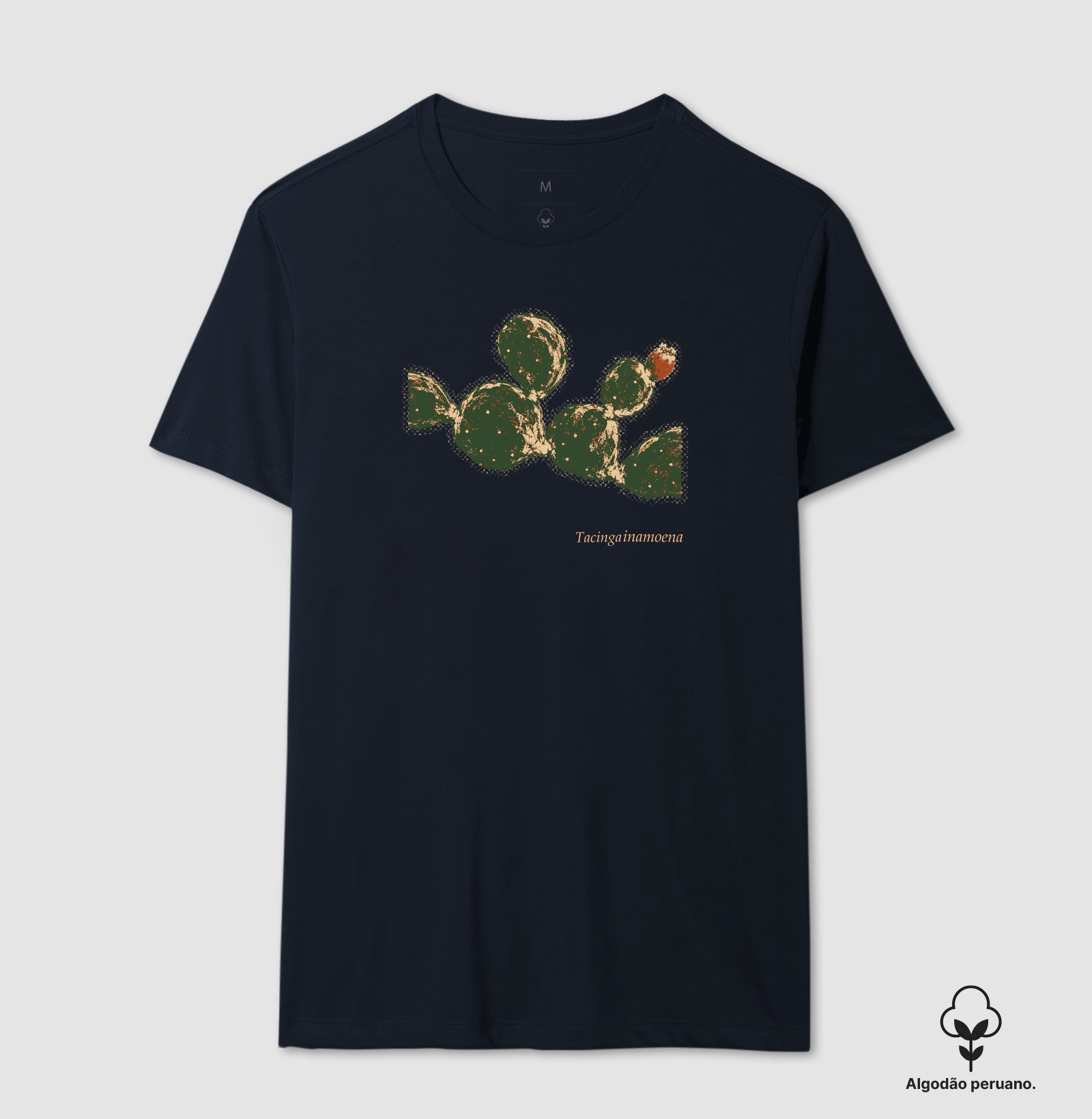 Quipá - Imagem 4